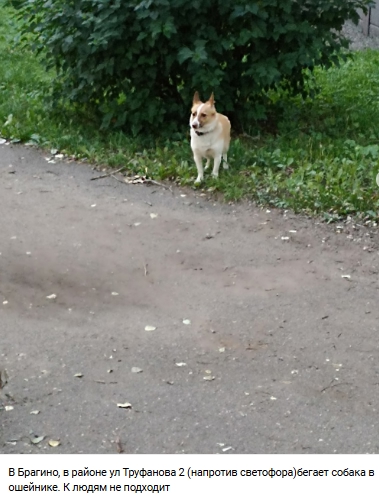 Пост добра. Распространите, пожалуйста.