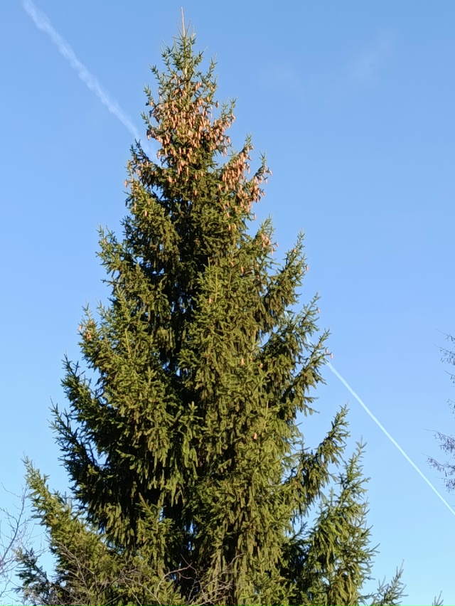 Чкаловск, солнечный день.05.11.25