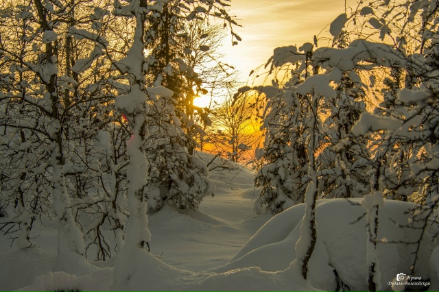 Новый год близко, а солнце уже низко!
[id67181780|Ирина Дудал...