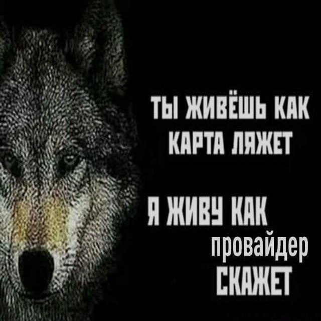 Ночная подборочка
Спать, режим