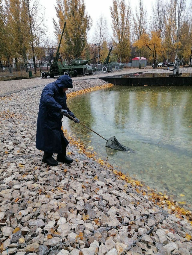 В парке Победы отремонтировали водоём и теперь сотруд?...