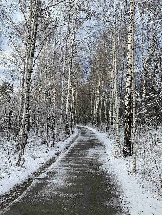 В Жигулевском заповеднике впервые в этом году выпал сн...