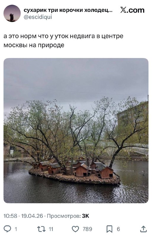 Даже у московских уточек есть недвижимость в центре Москвы, а у тебя — нет 😭