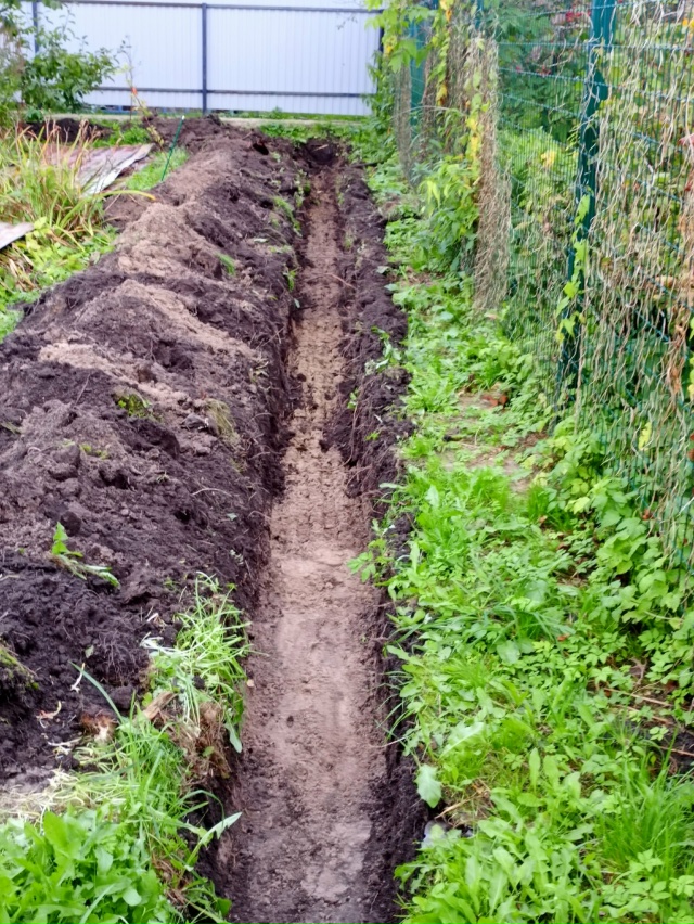 Т. 89159708403
Услуги миниэкскаватора
нa гуceничном ходу, удо...