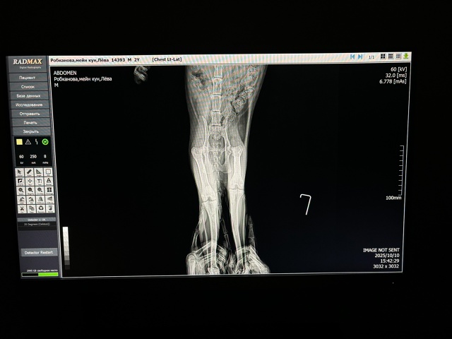 Уважаемые и неравнодушные подписчики ПвТ!
Обращаюсь ?...