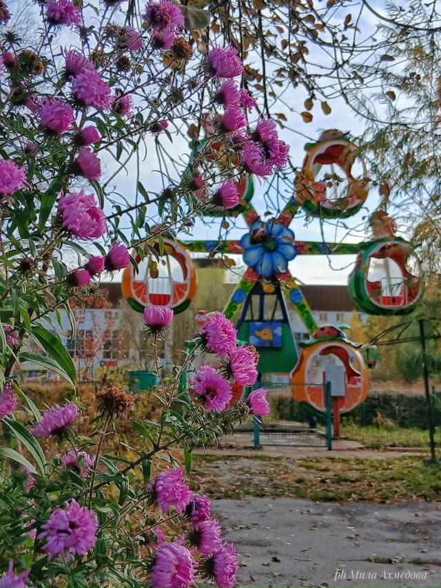 Городской парк.🍁🎡🎠
Октябрь.