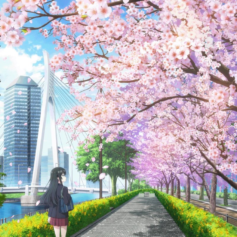 Непростая дружба
Новый постер аниме по ранобэ "Аккуратная и симпатичная девочка в моей новой школе