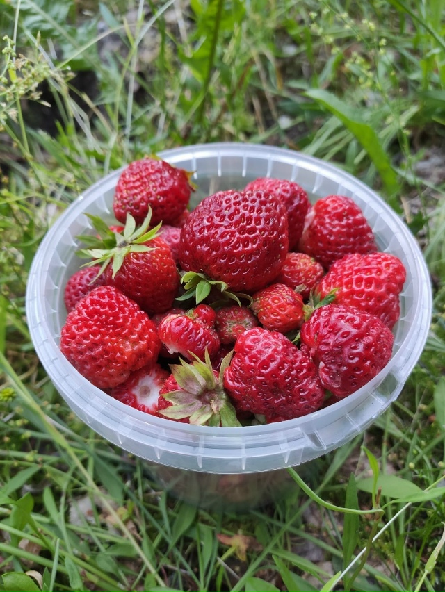 Эх, вкуснятина 😋
А что у вас на даче растет?😉