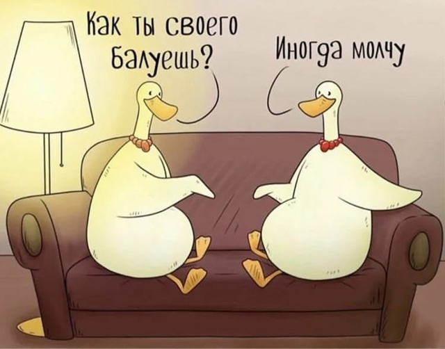 НЕМНОГО ЮМОРА... 🤗