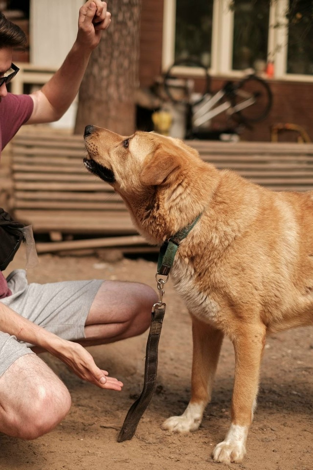 Уважаемые соседи, здравствуйте
Пост-боль
Никто не ище?...