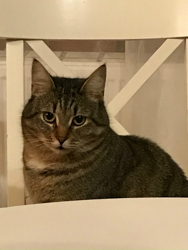 18 октября из магазина Монетка (Берёзовая аллея 8А) забр?...