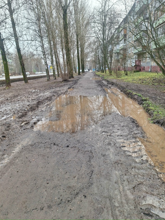 Мне кажется, нашему многоуважаемому Мэру нужно устрои?...