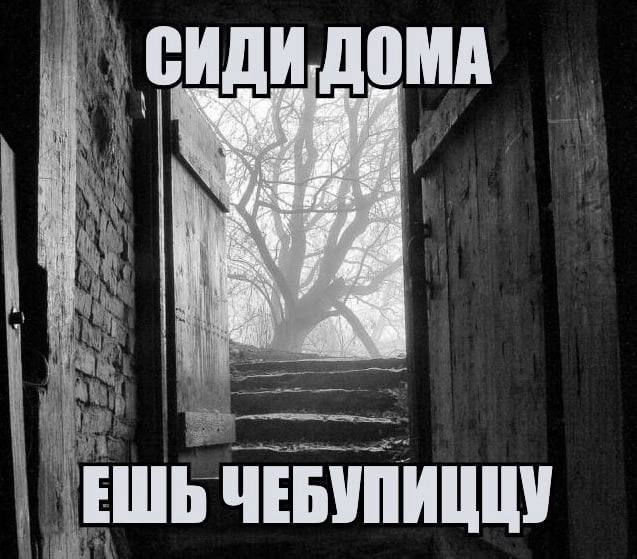 Утренняя подборочка