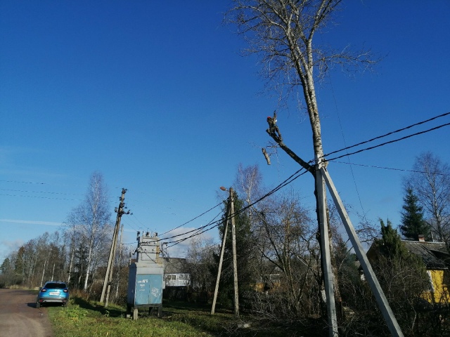 Спил деревьев любой высоты и сложности. Рядом с домом, ?...