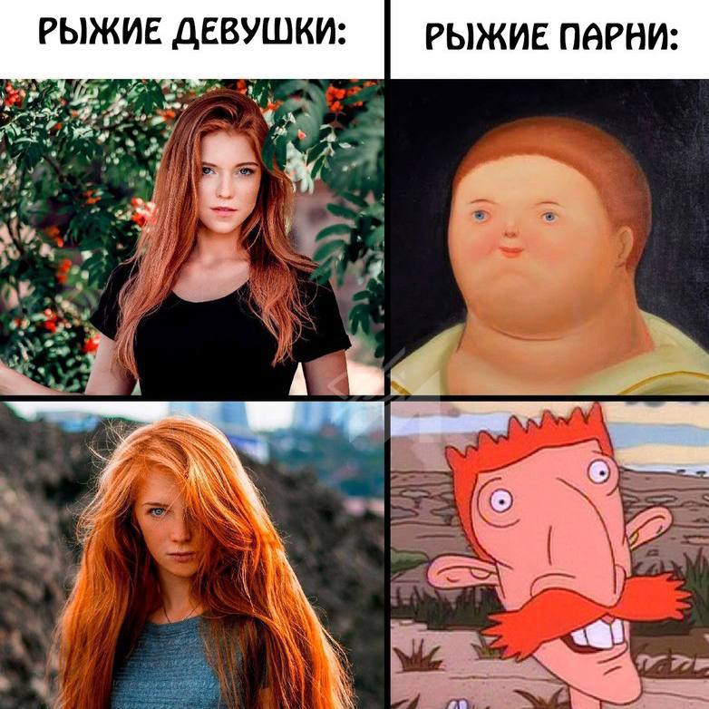 Международный день рыжих отмечается сегодня.
Поздравляй своих рыжих друзей