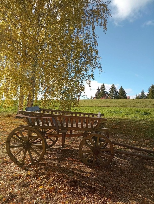 Шикарная осень в Хохловке ?
? Мария Сотникова