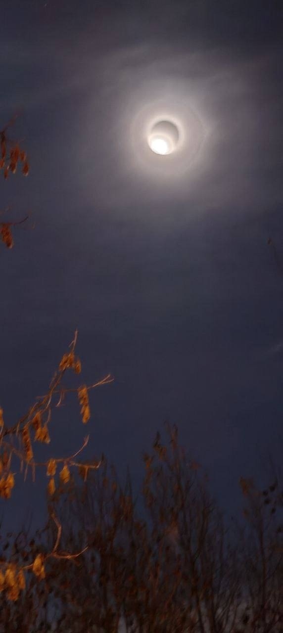 🌕 Бобровое суперлуние уже в небе над Москвой.
Подним...