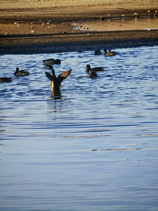 У Бугpинcкoгo мocтa