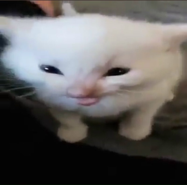 Результат отличный.
Ему назначили пожизненное заключ?...