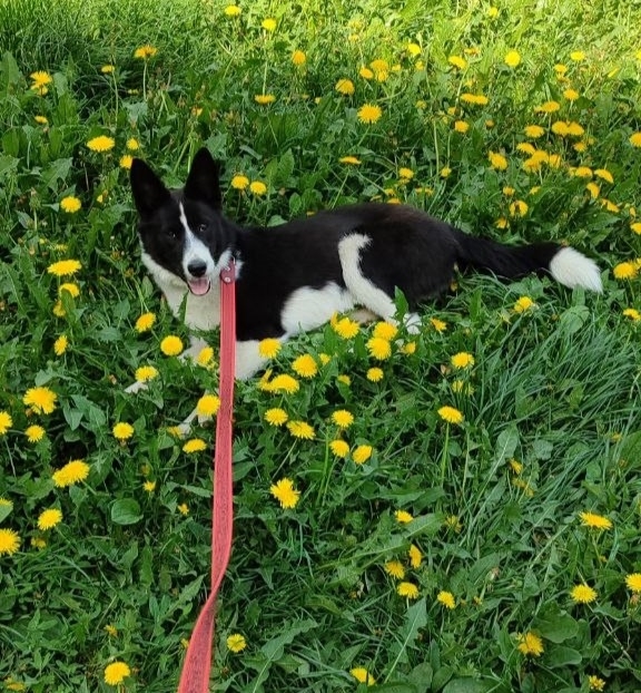 Сегодня какой то мужчина, крупного телосложения среза?...