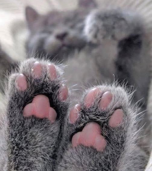 Всем прекрасного утра!