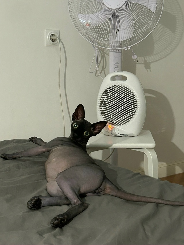 Немножко доволен, немножко не доволен🤣