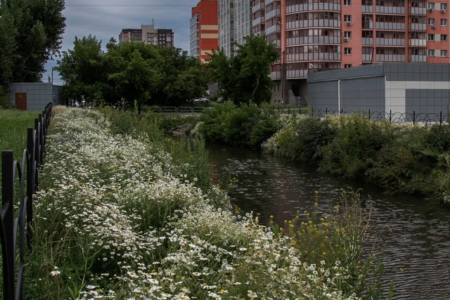 📸 Артем Пирогов — молодой фотограф из Копейска, котор...
