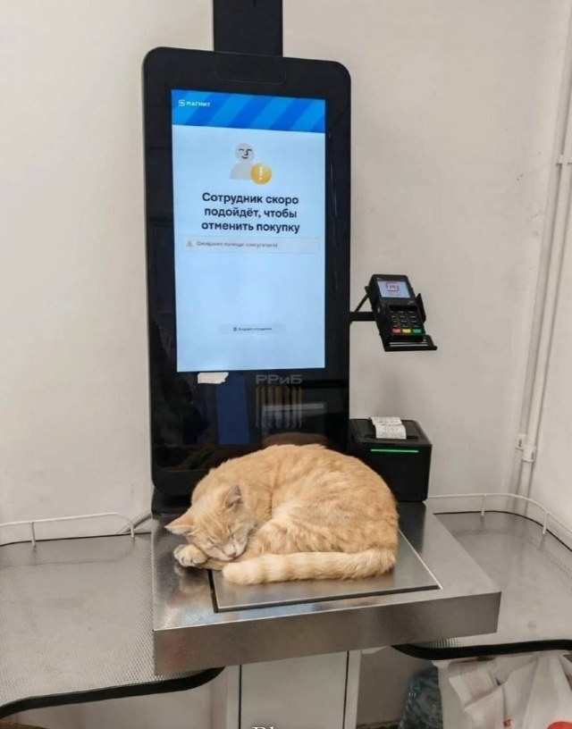 Отмена отмены, взвесьте всего. Берем!?