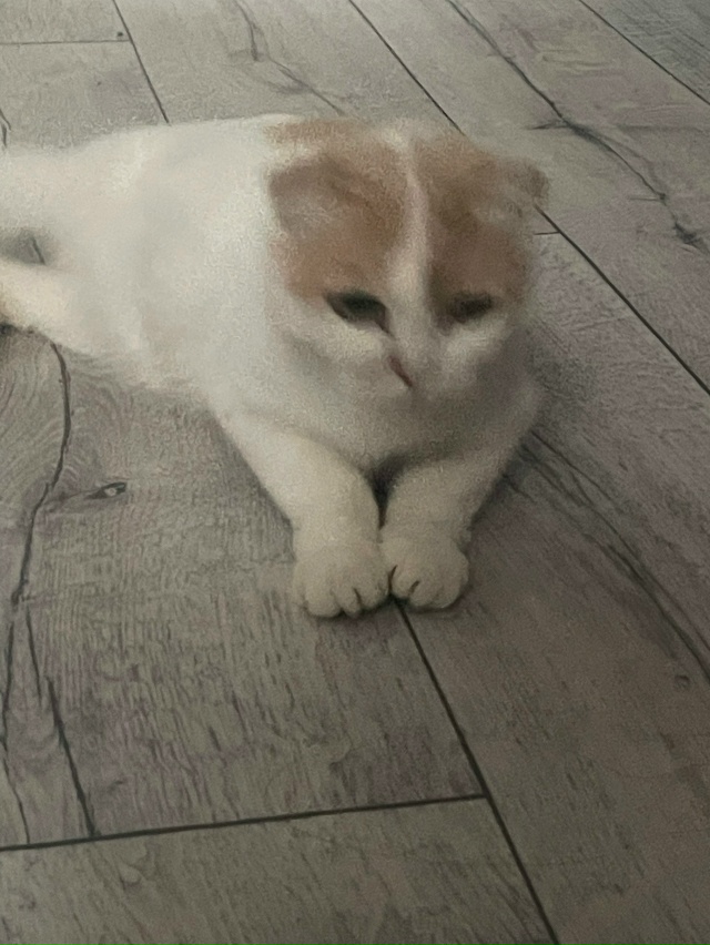 Здравствуйте! Помогите пожалуйста кто-нибудь! Может ту...