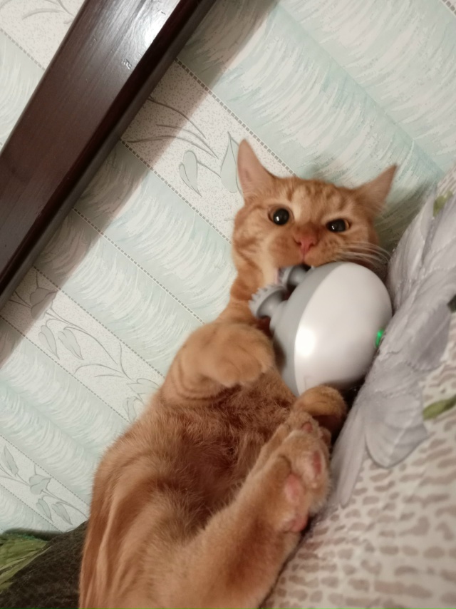 Нападение робота😸🙀