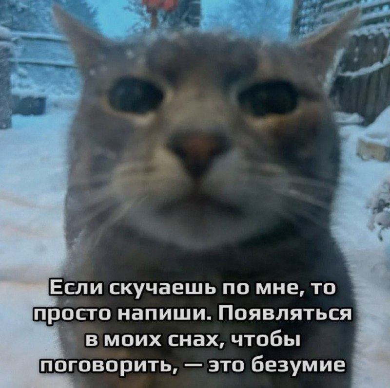 Ночная подборочка
Спать, режим