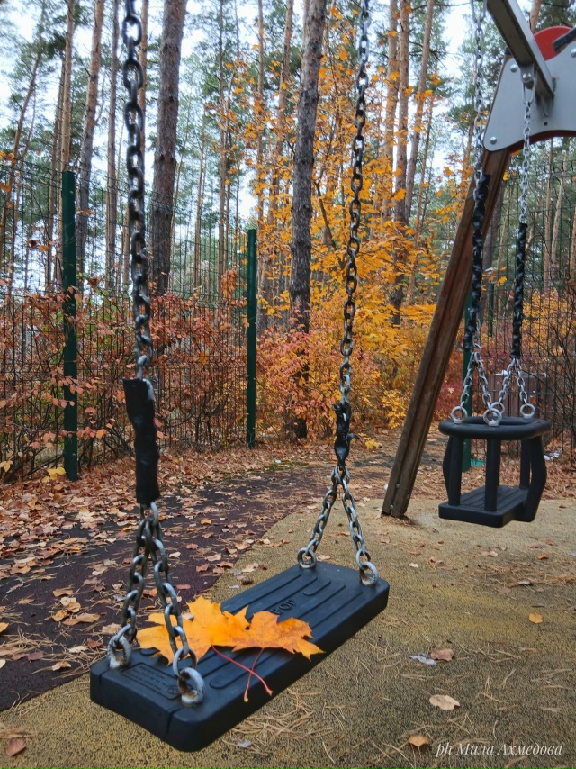 Тольяттинский лес, полон неожиданностей.🌲🐘🍁