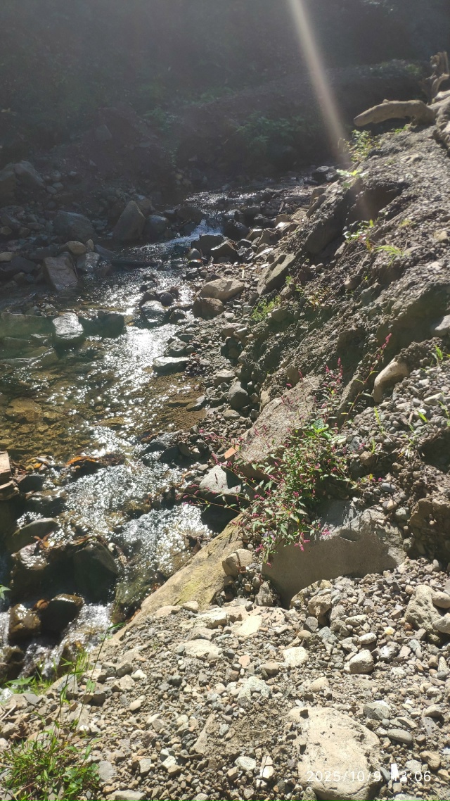 ⛰🏞🇬🇪🎡❤ Привет Коврову из Грузии. Анон