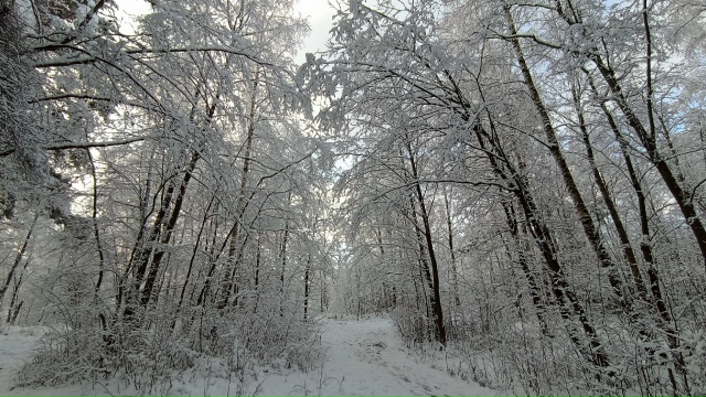 Немного зимней красоты))
