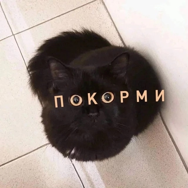 В Госдуме готовят законопроект, который будет запреща?...