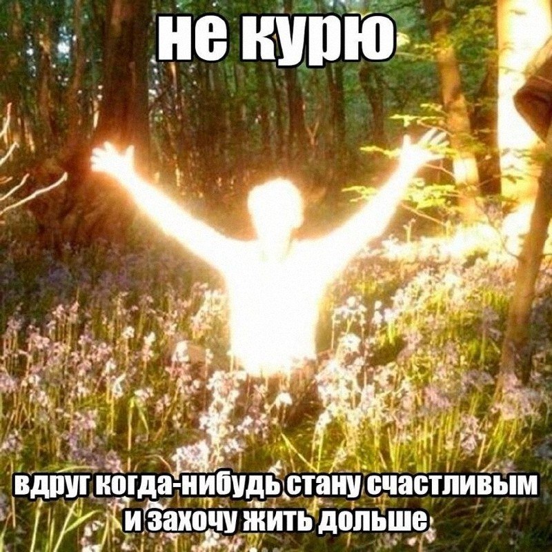Утренняя подборочка