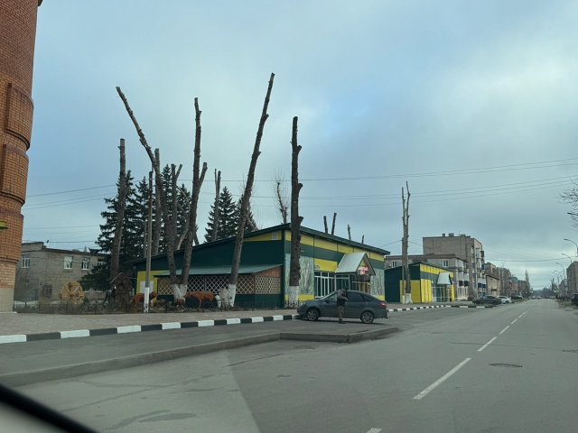 Как вы думаете,красиво смотрится?😭
Фото: Чёрно-белый ?...