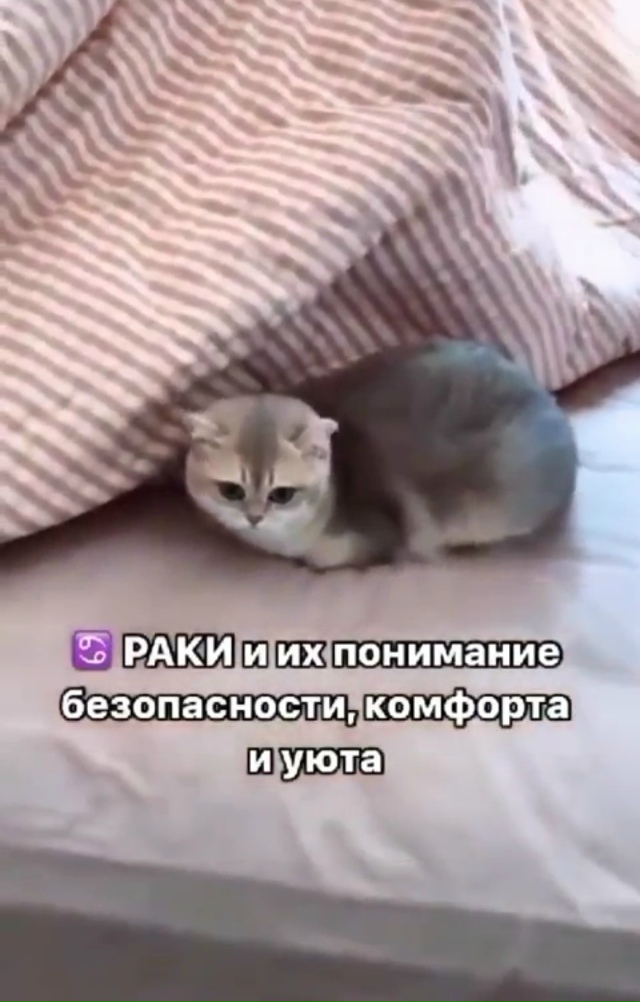 Знаки зодиака и их лучшие качества!
