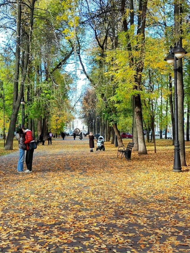 Усыпанный зoлотой листвoй Тихий Компрос в Перми
📷 Над?...