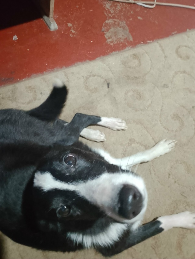 Чей ребенок потерялся? Недалеко от перекрёстка Феврал?...