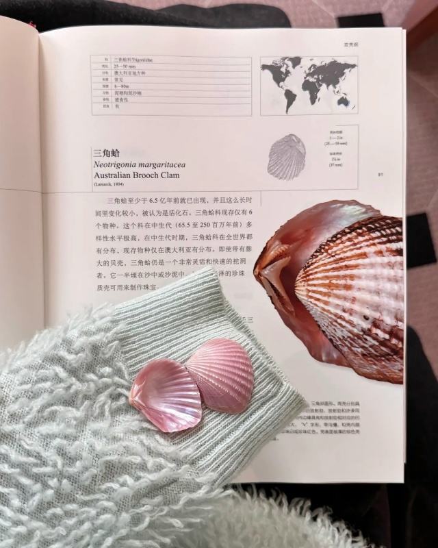 Потрясающая коллекция