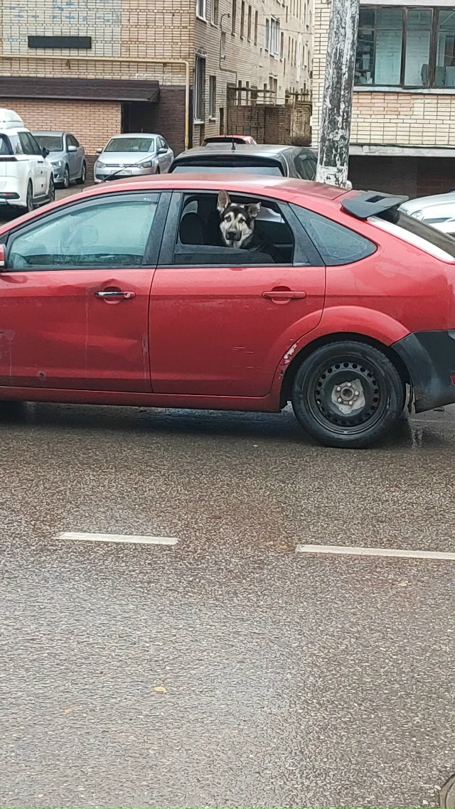 Всем хорошего настроения 😊