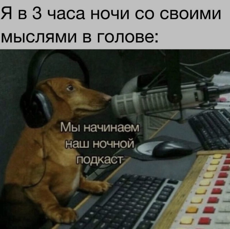 Ночная подборочка
Спать, режим