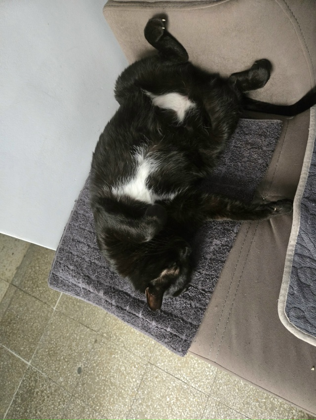 #БляцкаяДжолин #чёрнаяхтонь
Свет и Тьма в моей жизни.
О...