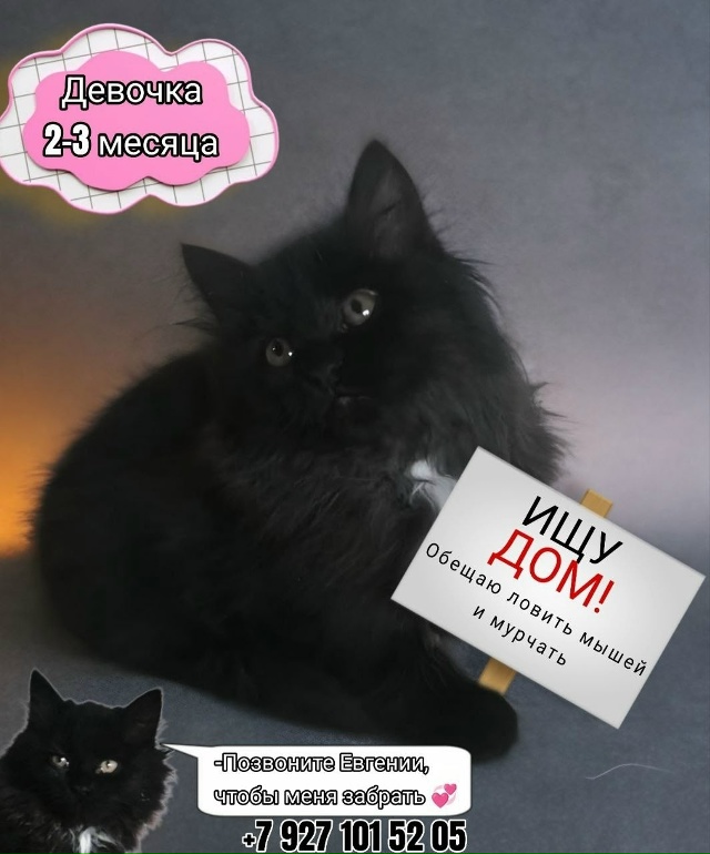 [id366776519|Ольга Арефьева]