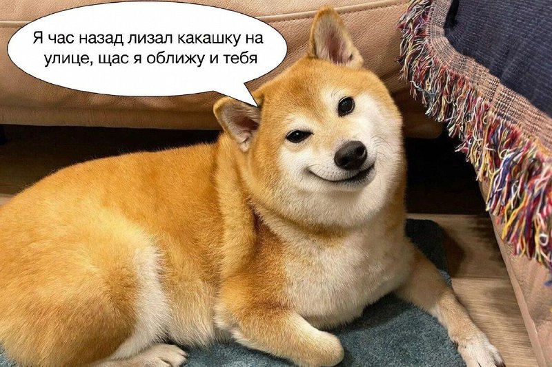 Британке ампутировали все конечности после игры с собакой.
52-летняя Манджит Сангха поплатилась за