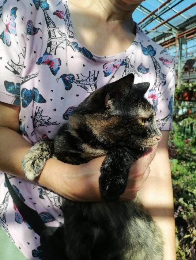 💛Трёхцветное счастье в ожидании своей семьи!🖤
Крас...