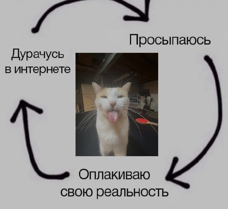 Ночная подборочка
Спать, режим