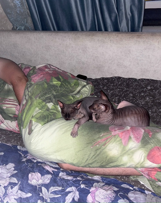 Всратые кроватные Груша ( с усами) и Киви