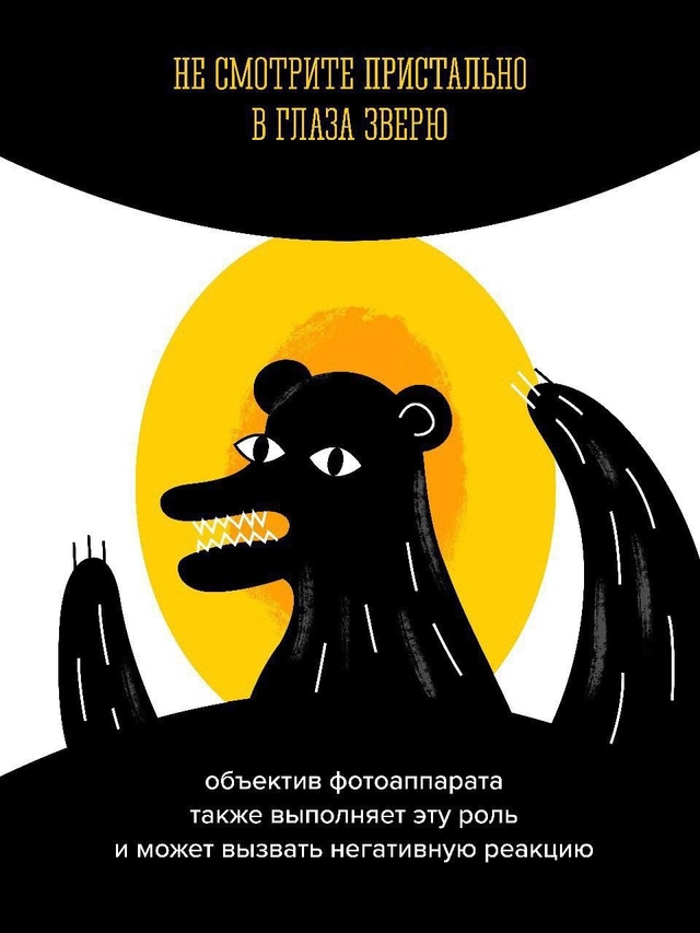 🐻Бурый медведь – крупный, опасный для человека хищни?...